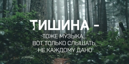 Режим тишины